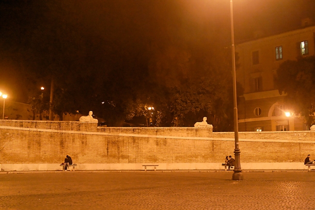 Rome S&C meeting-008